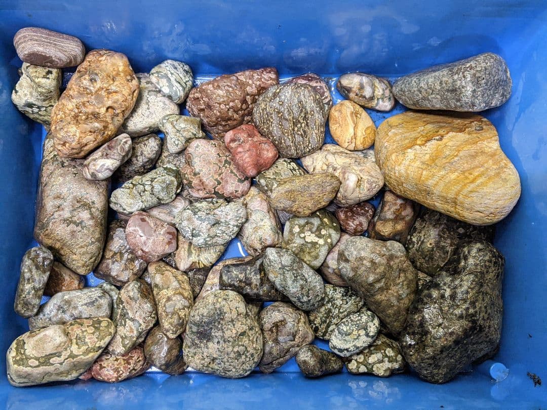 （269）越前海岸の紋石、美石たち③（参考）