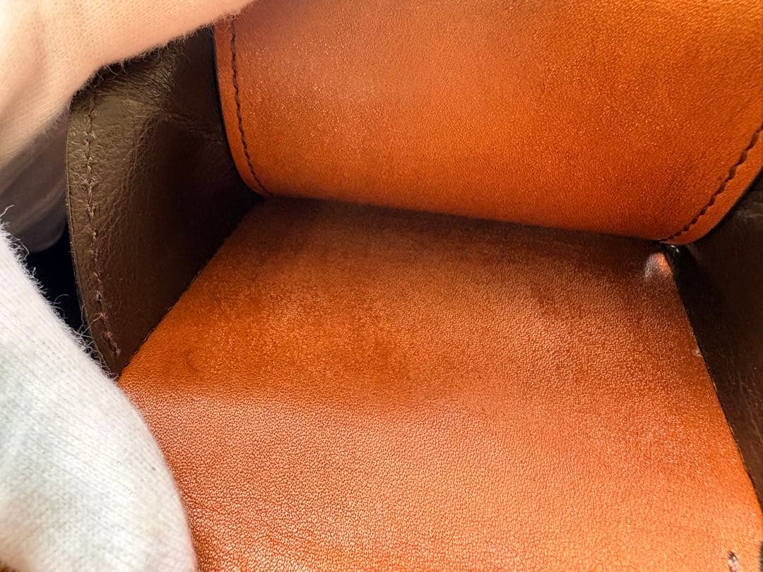 カーサ　CASA フルグレインブライドルレザー　ワイルドスワンズ