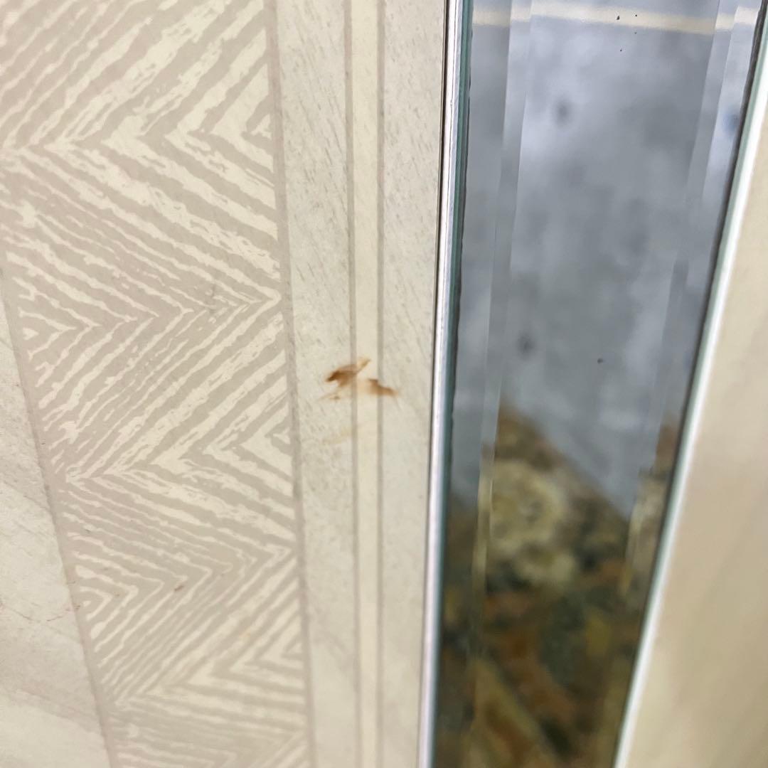 ꧁Eddi Rose エディローズ꧂ ローボード イタリア製 輸入 インポート