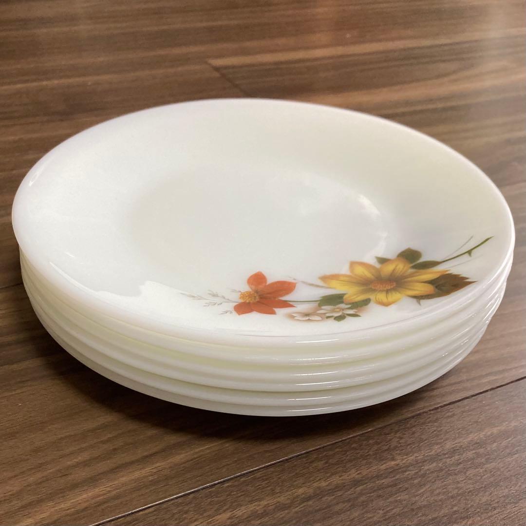 JAJパイレックス オータムグローリーシリーズ ディナープレート 6枚セット