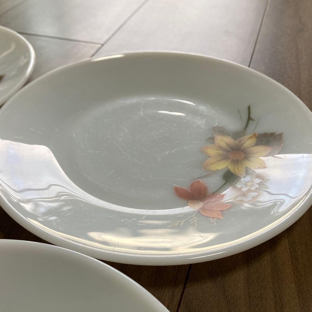 JAJパイレックス オータムグローリーシリーズ ディナープレート 6枚セット