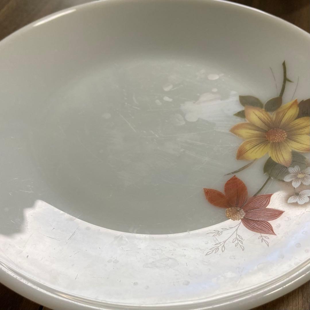 JAJパイレックス オータムグローリーシリーズ ディナープレート 6枚セット