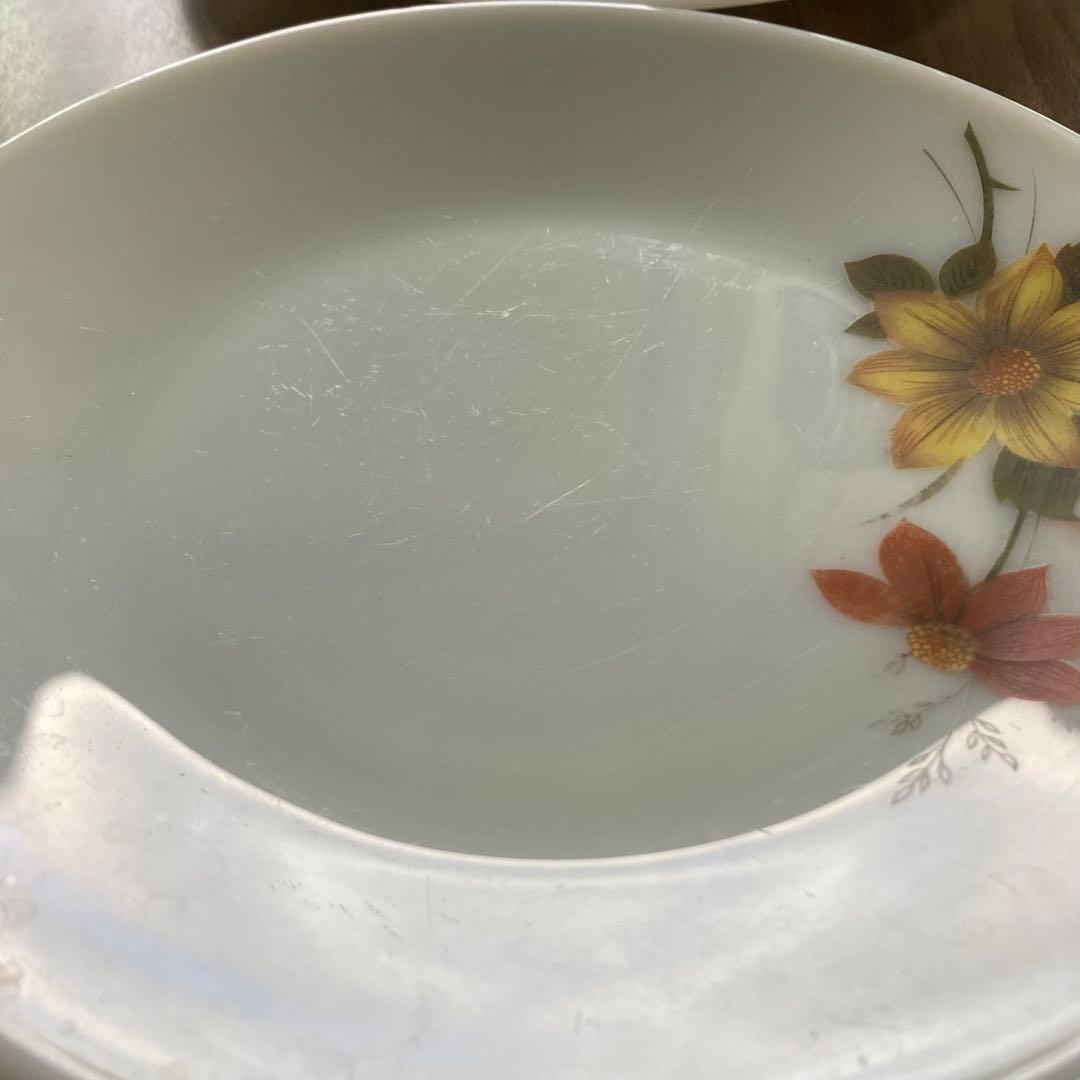 JAJパイレックス オータムグローリーシリーズ ディナープレート 6枚セット