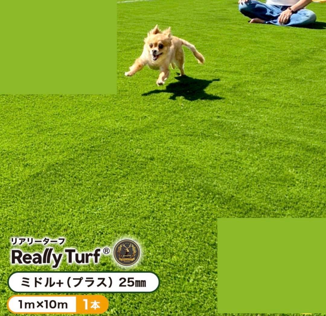 リアリーターフ ミドル+（プラス）25mm 人工芝 1m‪×3.63m 切込み有