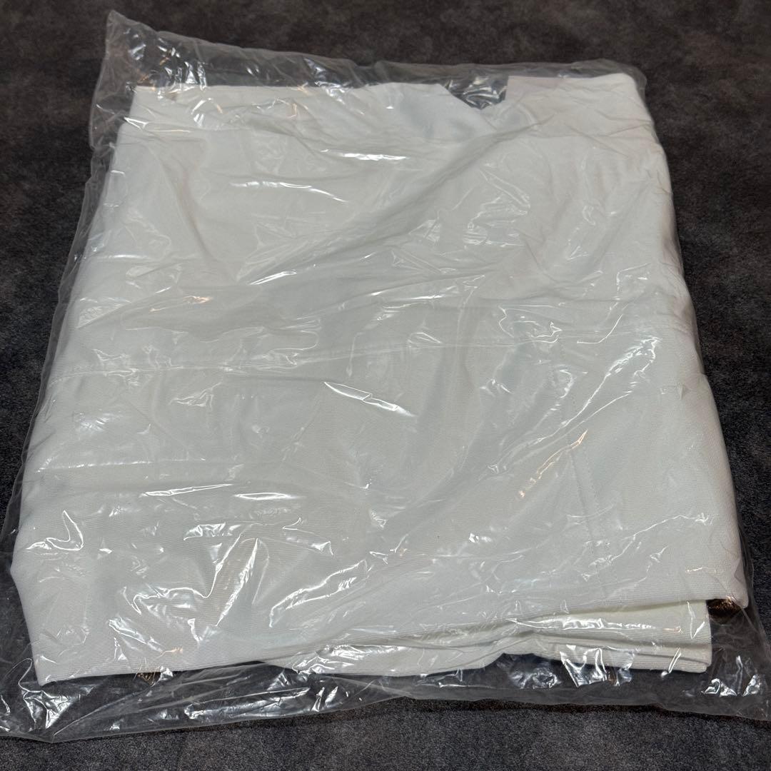 Nike core 野球 ベースボール ユニフォーム パンツ ホワイト コア L