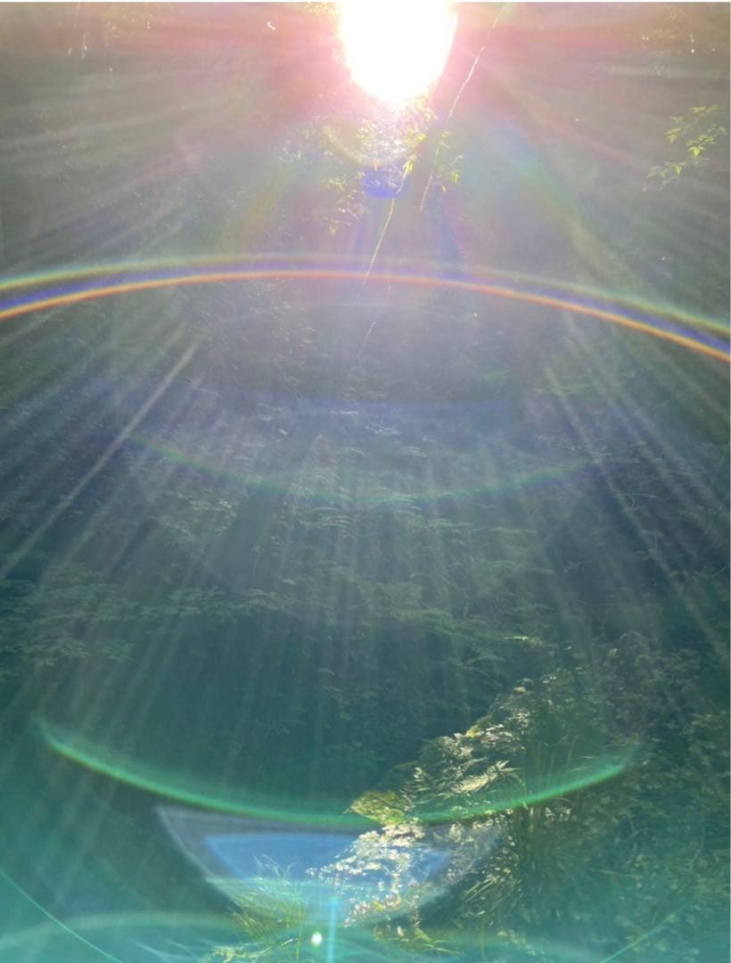 最強財運招来〜お金をグッと引き寄せた手⭐️龍体文字フトマニ図＆蝶々　元宝付き