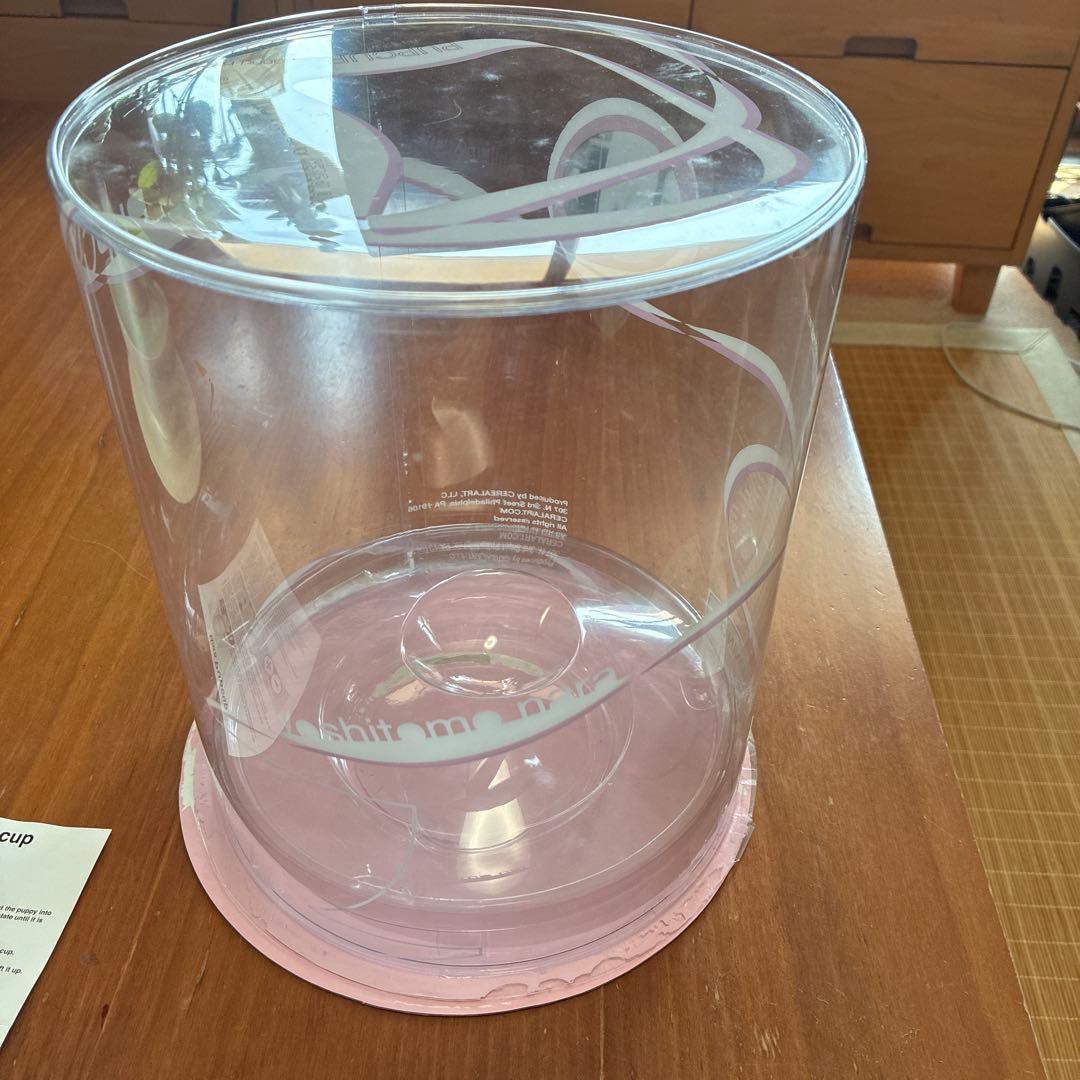 奈良美智　パップカップ　Pup cup 生産終了品　稀少