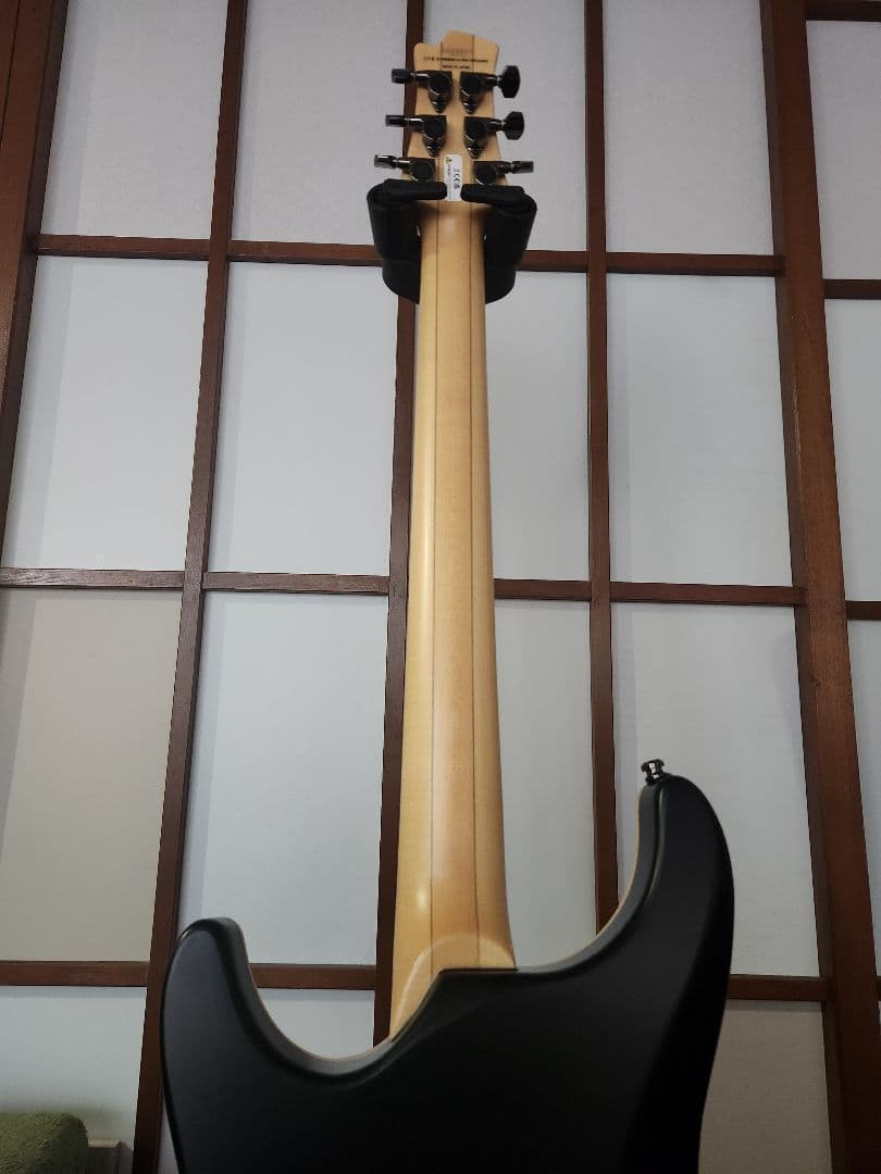 フジゲン Fujigen Expert Elan