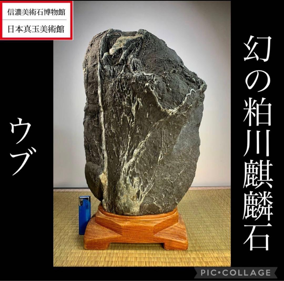 4273 粕川麒麟石 ウブ  横20×高43(cm)20.85kg