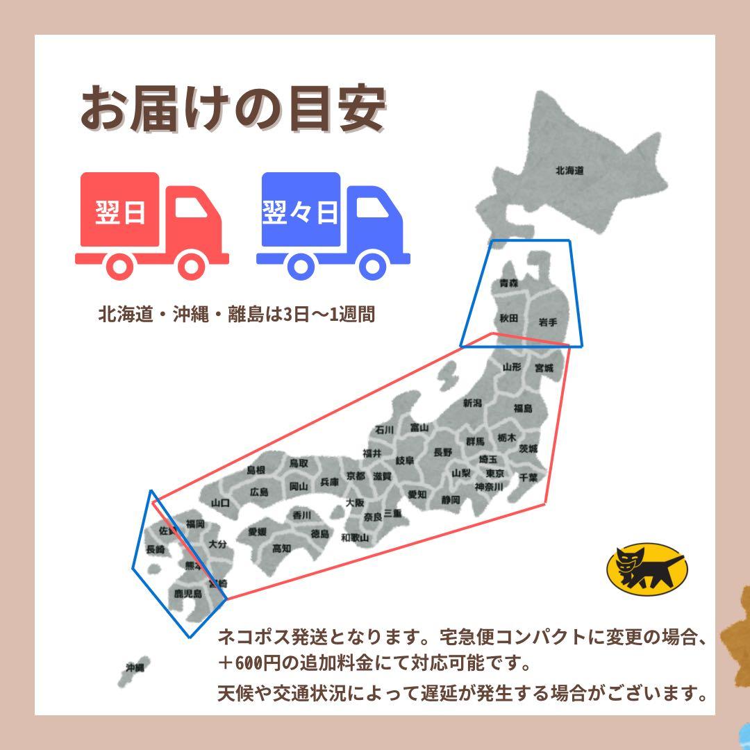 訳あり　iPhone SE2 64 GB レッド　SIMフリー　本体