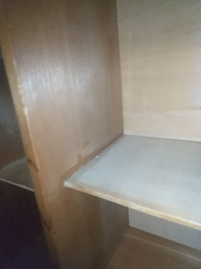 整理箱 美術用木材使用