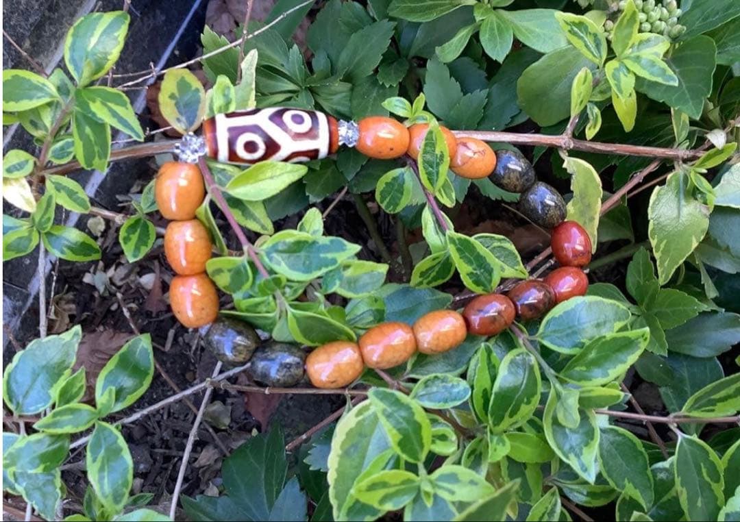 ✳️台湾上肯製　亀甲赤龍紋天珠*赤龍紋天珠玉*奈留島水晶　本物瑪瑙　鑑別書付‼️