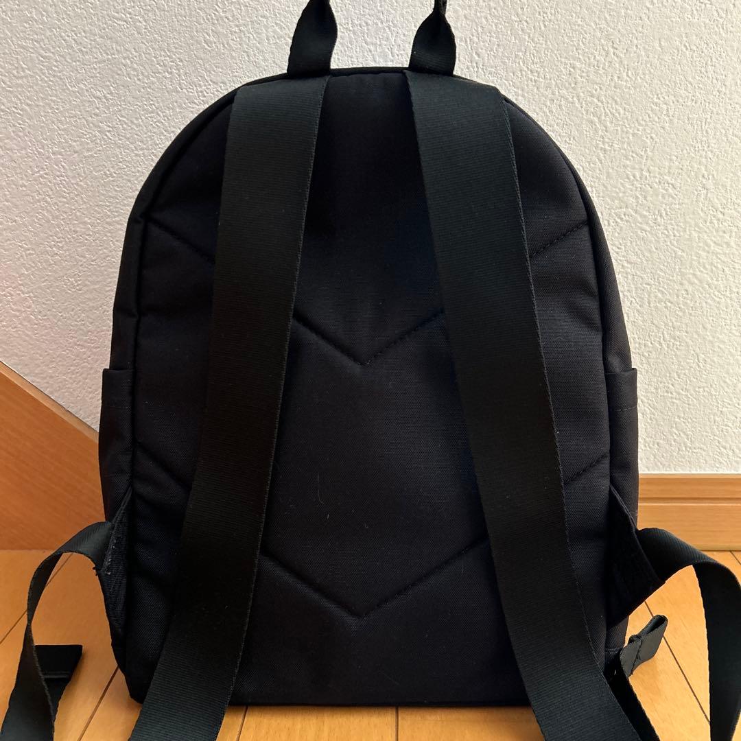 韓国ノースフェイス TNF DAY PACK MINI ミニリュック