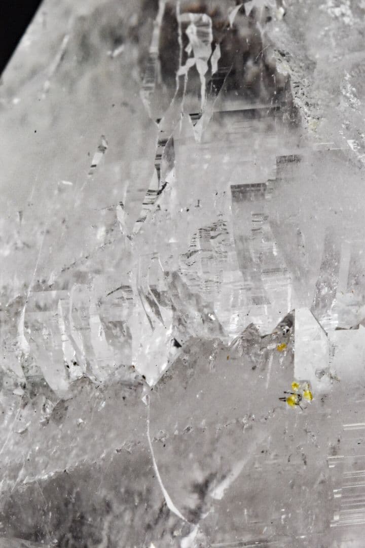 ガネーシュヒマール産 ２段再成長ポイント