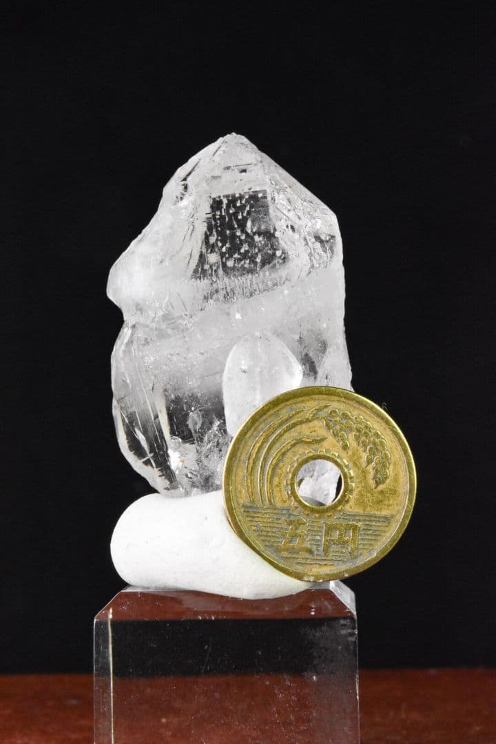 ガネーシュヒマール産 ２段再成長ポイント