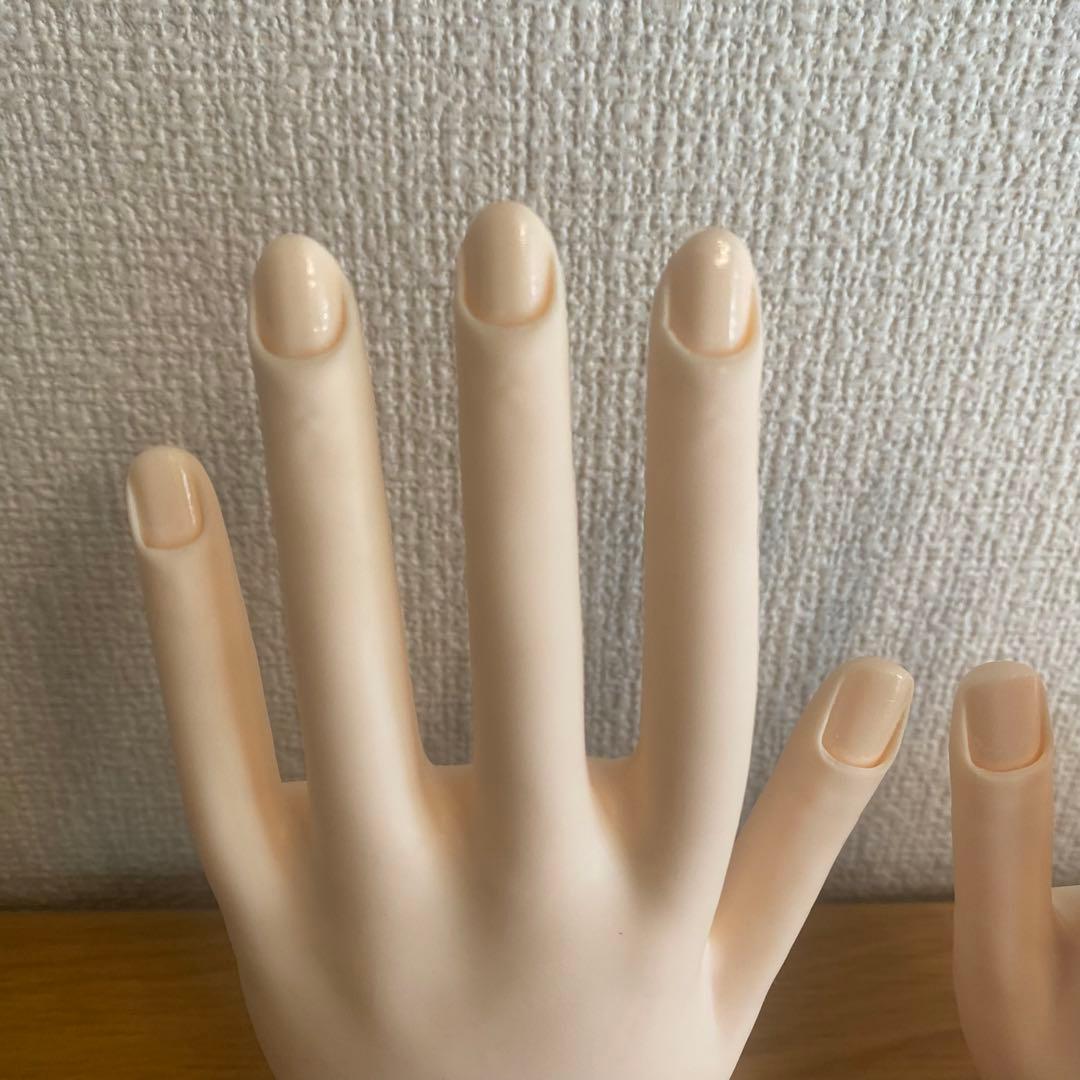 JNEC ネイリスト技能検定試験用　練習用セット認定モデルハンド