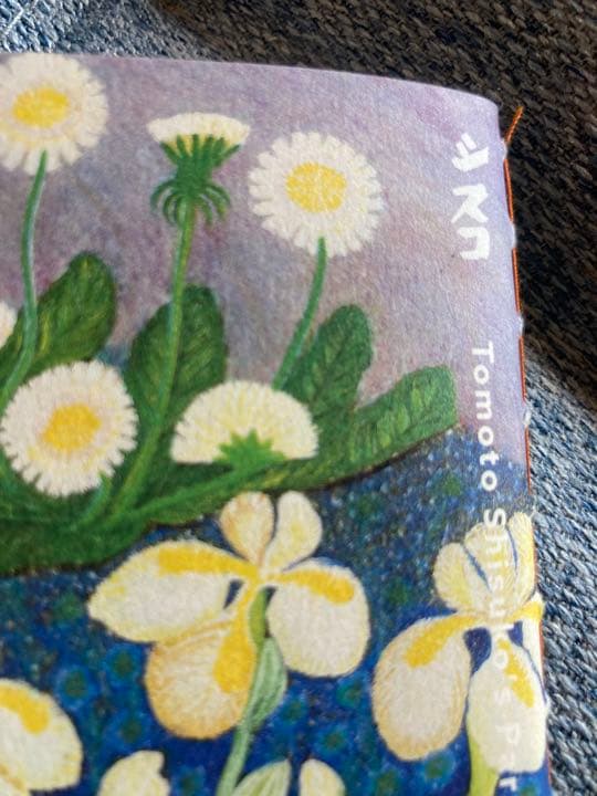 シスコ　妖精ノート