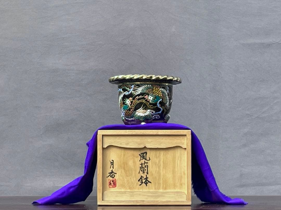 三河盆栽　月香　蘭鉢