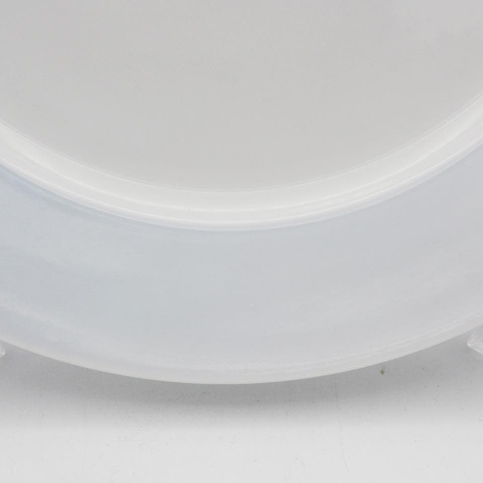 ロイヤルコペンハーゲン ミッドサマーナイトドリーム 25cmプレート ペア #3