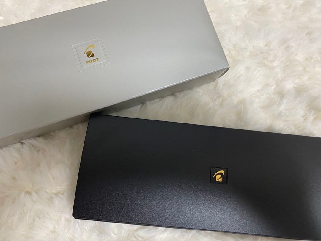 PILOT万年筆、ボールペン　２本セット