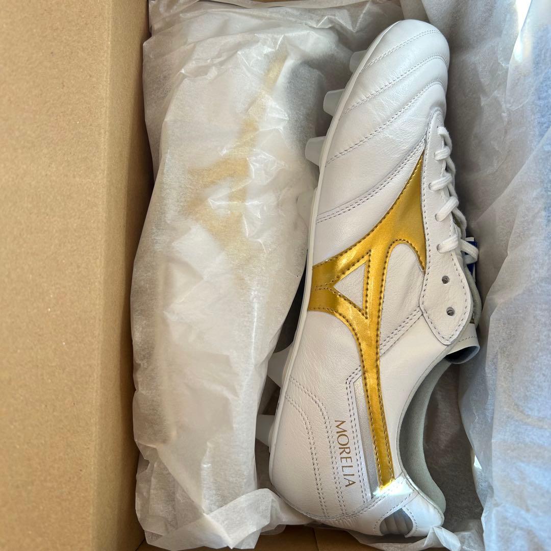 モレリア2ジャパン限定カラー