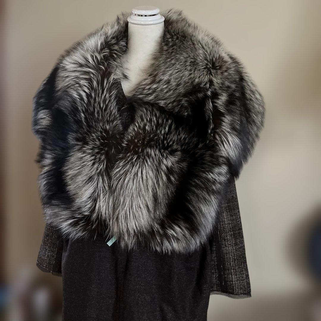 サガ　フォックス　