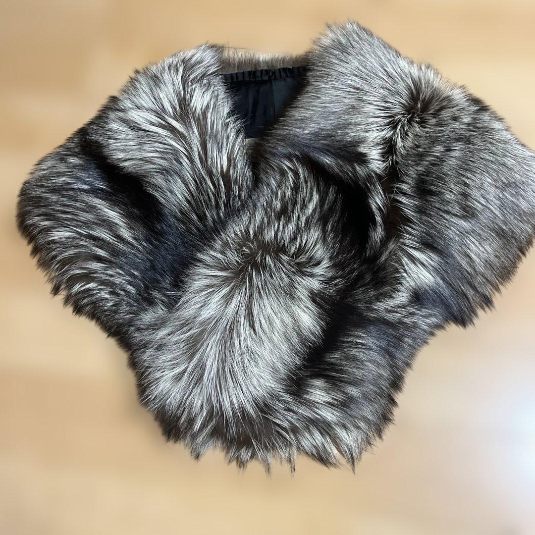 サガ　フォックス　