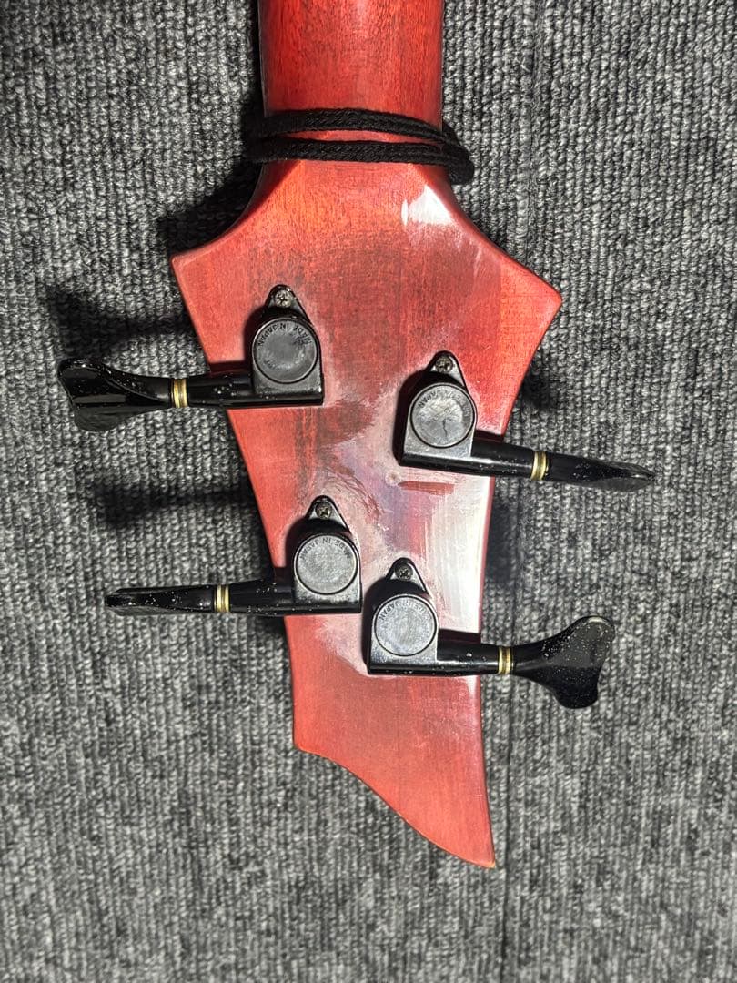 ESP Forest-STD ESP専用ソフトケース付き