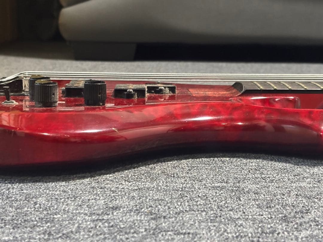 ESP Forest-STD ESP専用ソフトケース付き