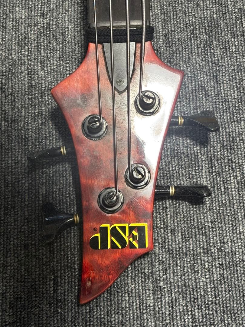 ESP Forest-STD ESP専用ソフトケース付き