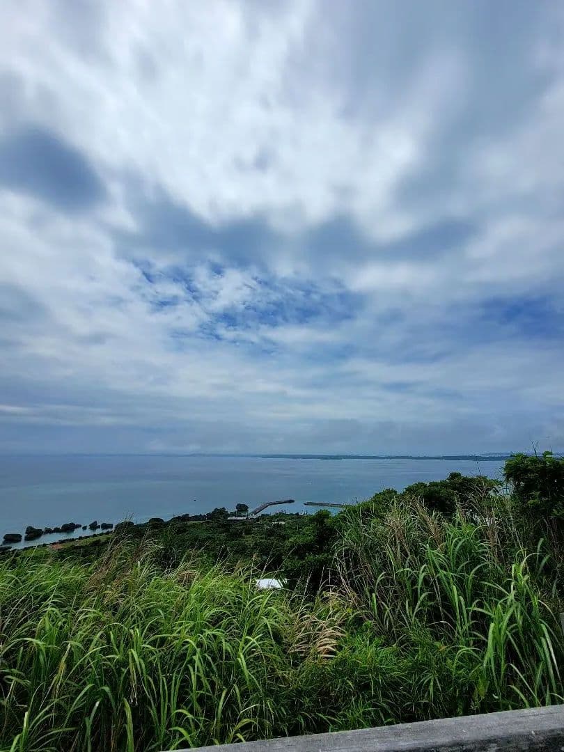 応援多数低価格感謝★金運上昇幸せ幸運のオルゴプレート