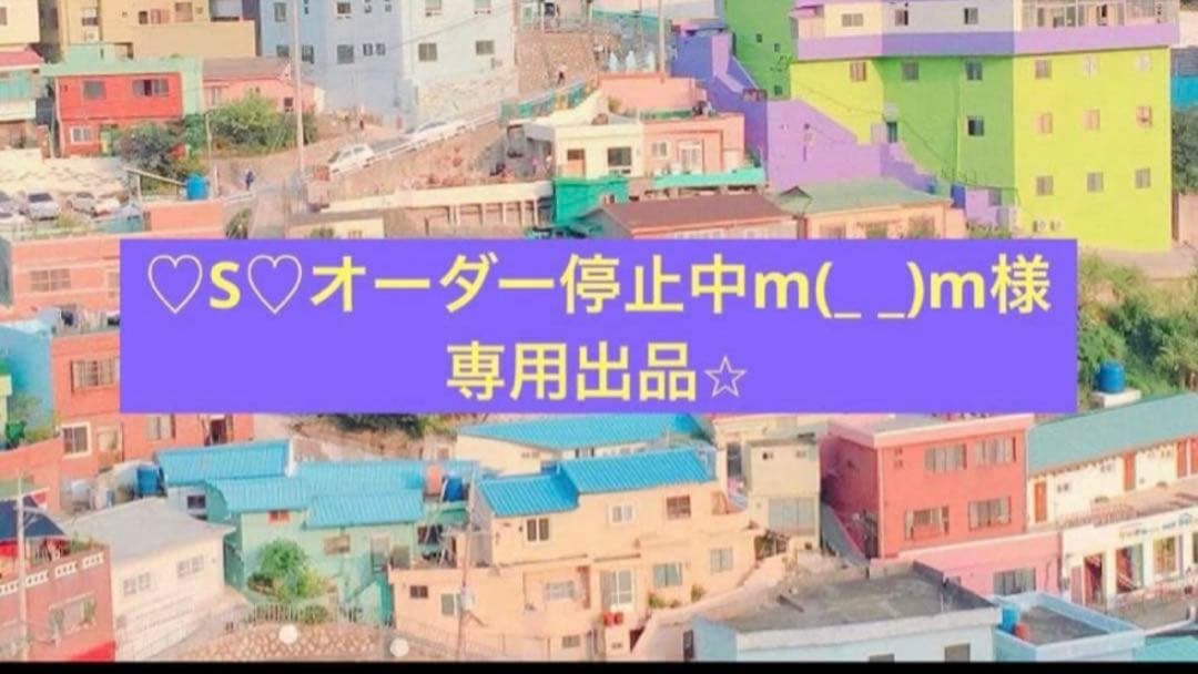 ♡S♡オーダー停止中m(_ _)m出品⭐︎