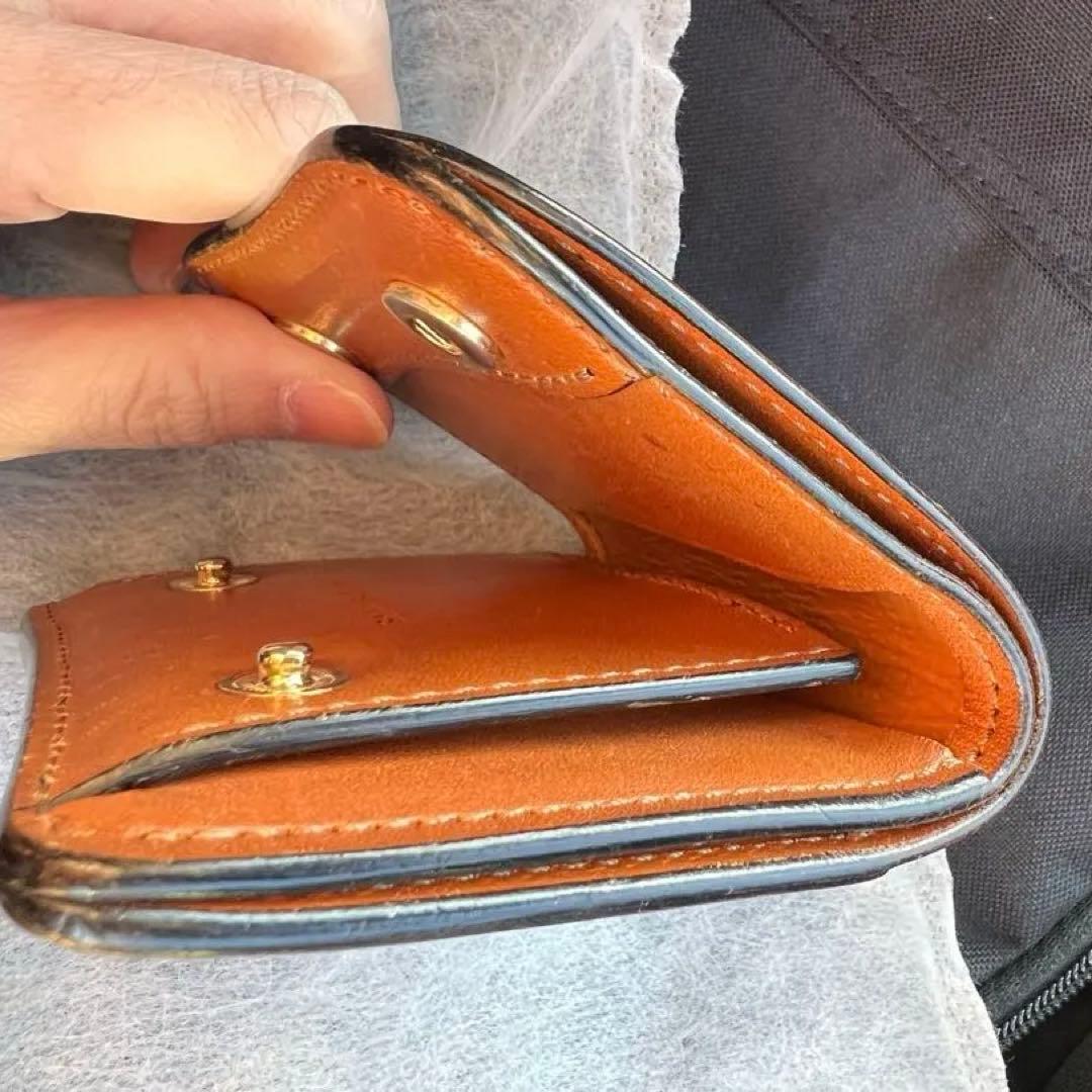 ワイルドスワンズ　パーム　フルグレインブライドルレザー