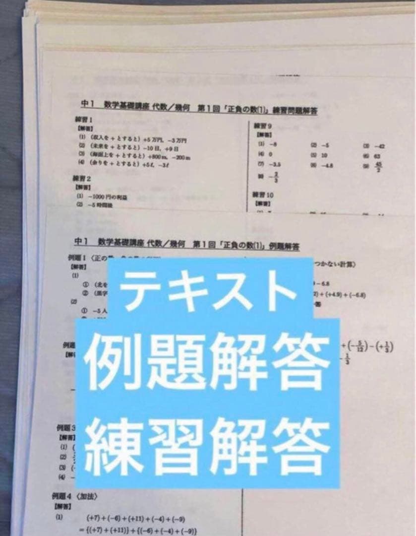 【フルセット　独学可】鉄緑会 中1 数学　基礎講座 通年セット　大容量プリント付