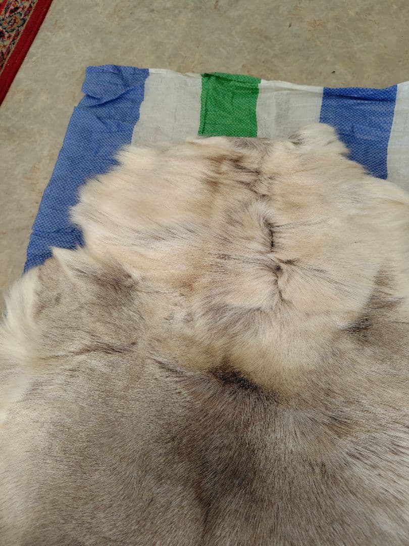 ダーラムトナカイファーL