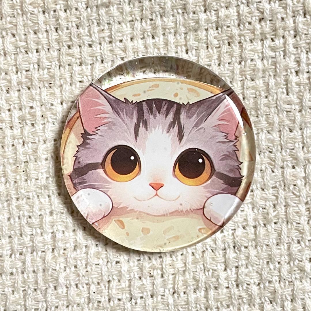 2558. 【大】レジンポニーフック・ヘアゴム・ブローチ・マグネット