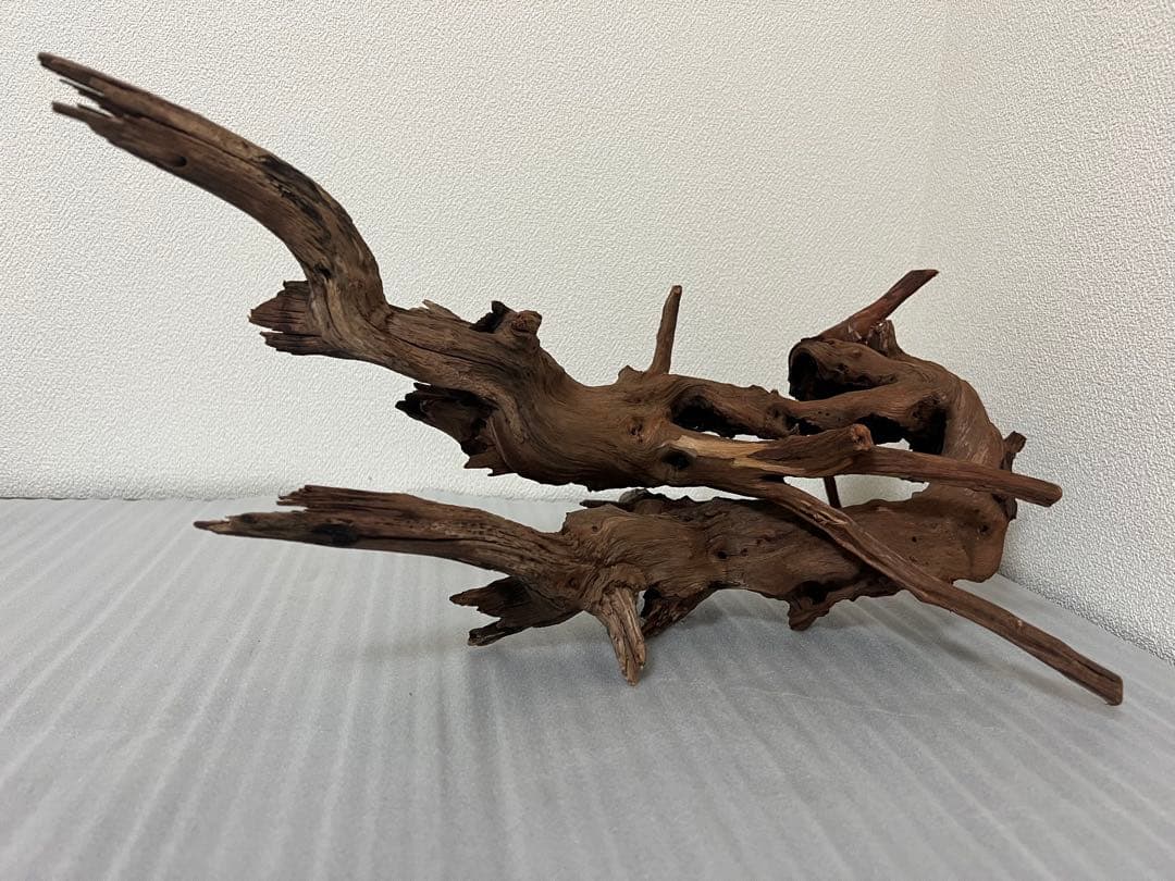 HX-076流木　ホーンウッド　マシンガンウッド　アクアリウム　ブランチウッド