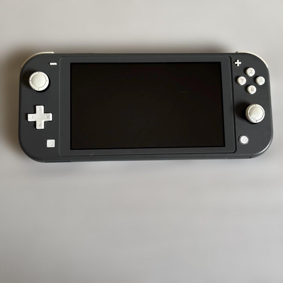NintendoSwitchライト2台 コントローラー2個 スマブラソフト