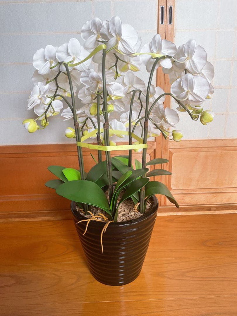 特大サイズ　白　胡蝶蘭　造花　陶器鉢　アートフラワー　ホワイト　美品　送料込み