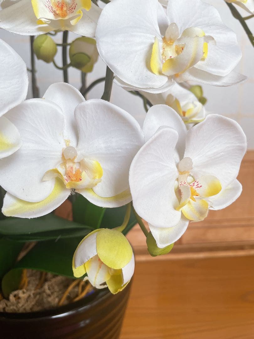 特大サイズ　白　胡蝶蘭　造花　陶器鉢　アートフラワー　ホワイト　美品　送料込み
