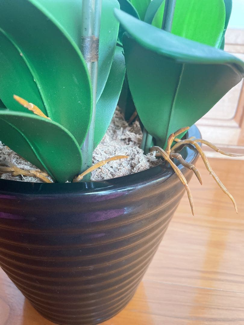 特大サイズ　白　胡蝶蘭　造花　陶器鉢　アートフラワー　ホワイト　美品　送料込み