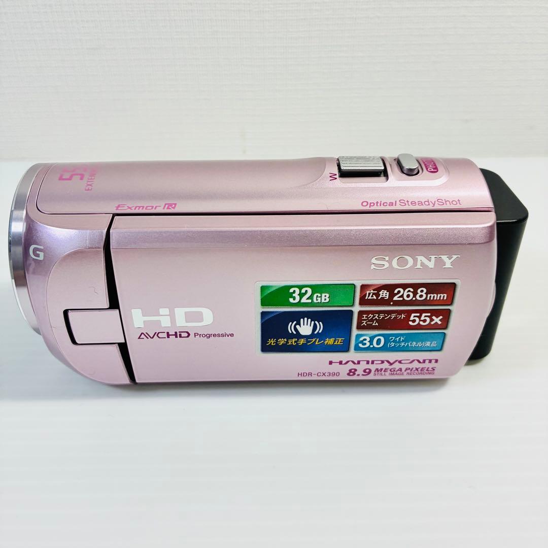【動作ＯＫ】 SONY　Handycam　HDR-CX390