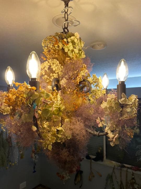 インテリア　雑貨　証明　電気　シャンゼリア