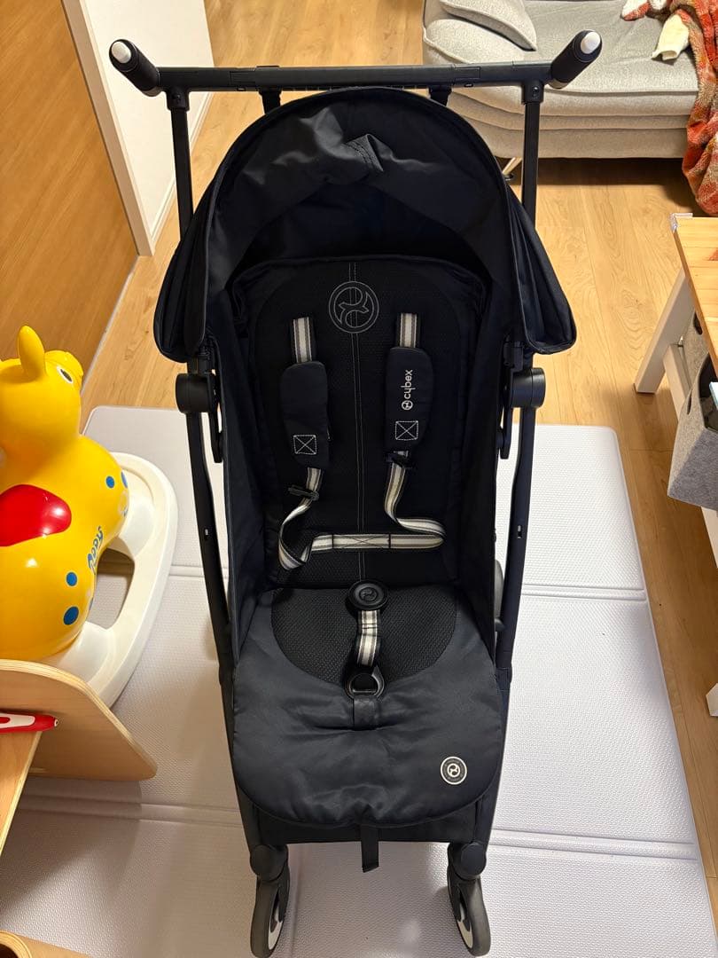 サイベックス　リベル　2024年6月購入