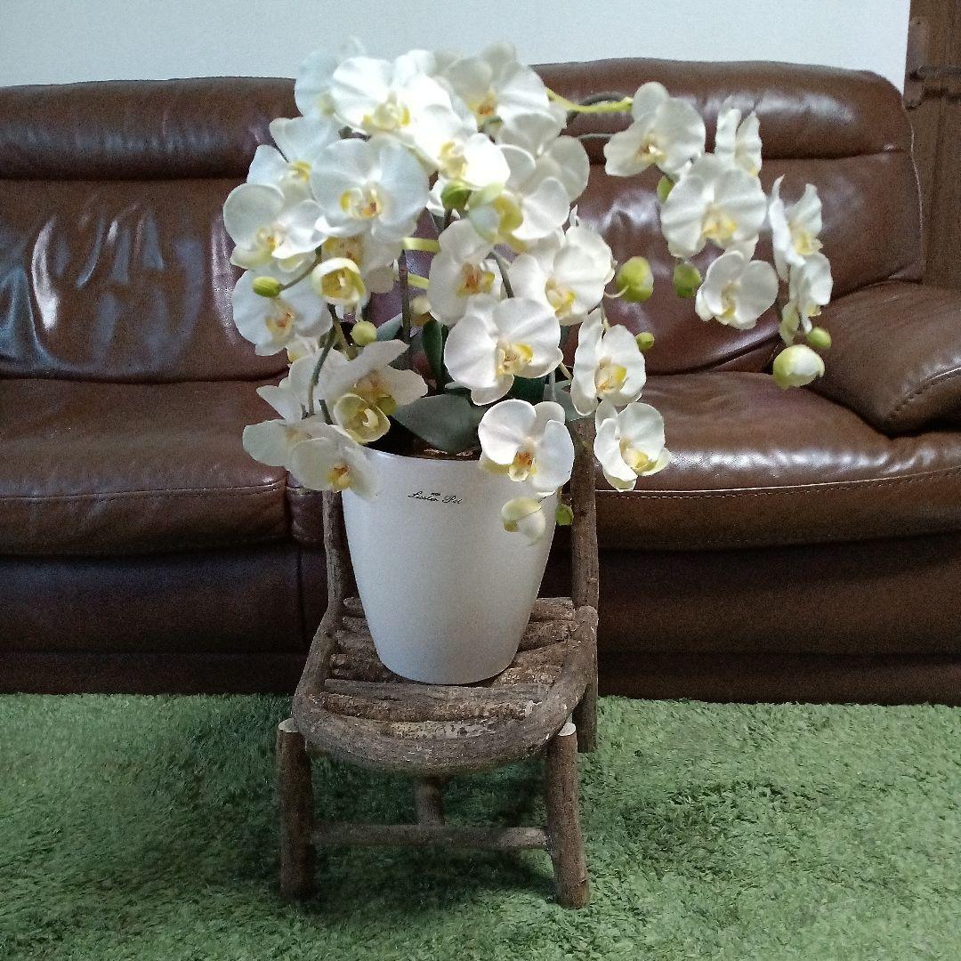 藤の木の枝の椅子　花瓶、陶器など飾り台　手作り