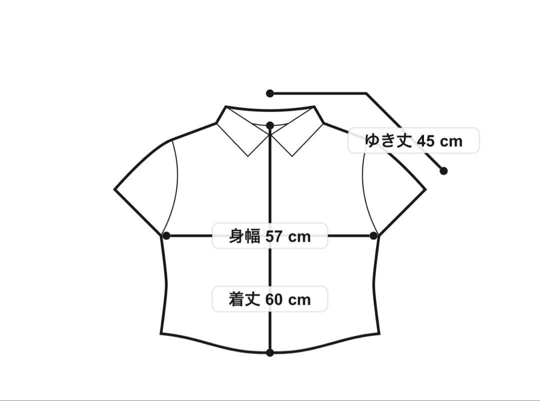 美品DES PRES デプレ　スパークリネン ピンタックスリーブブラウス