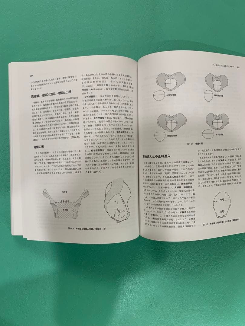 【naru様限定】クラニオセイクラル・バイオダイナミクス VOL. 1 & 2
