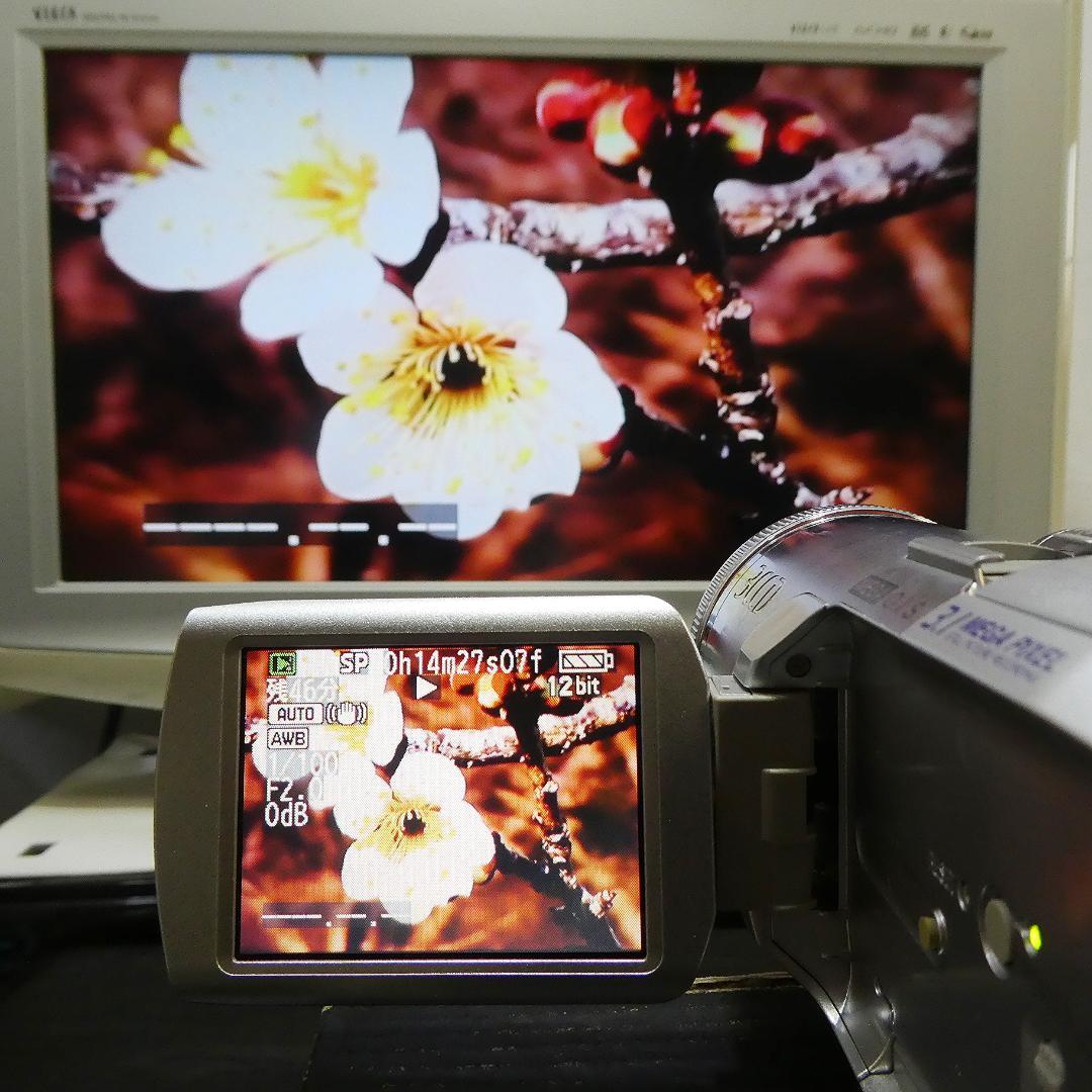 動作良好 パナソニックNV-GS250 MiniDVビデオ DVD化に最適 !