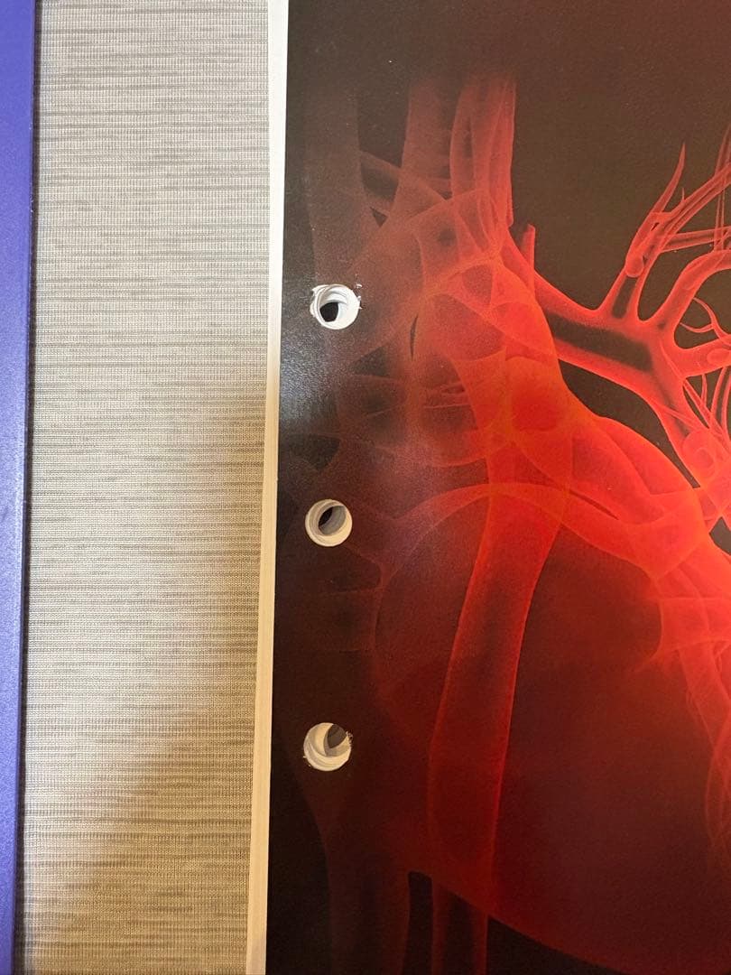 ACLS 二次救命処置 インストラクターマニュアル　あっちゅーさま専用