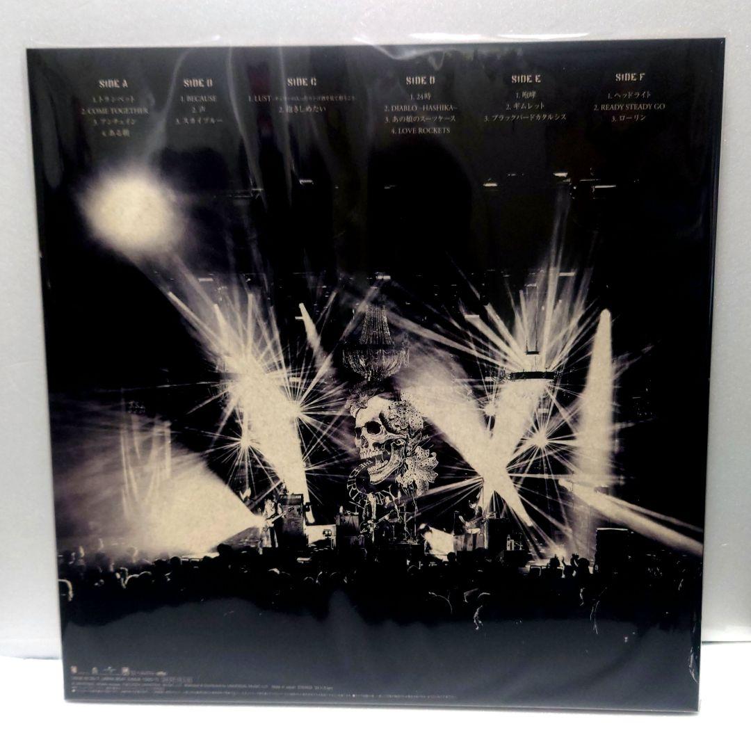 The Birthday / GO WEST, YOUNGMAN・重量盤3LP